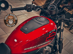Новый мотоцикл Harley-Davidson® Nightster™