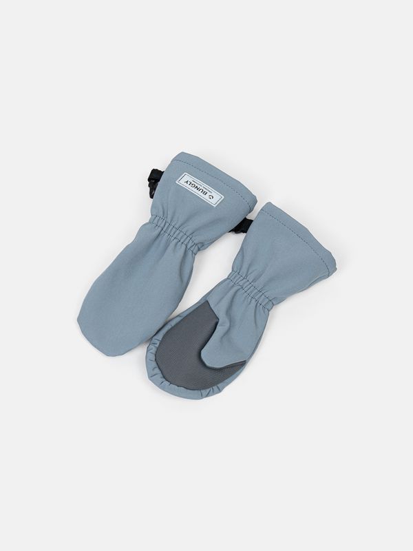 Варежки Softshell 