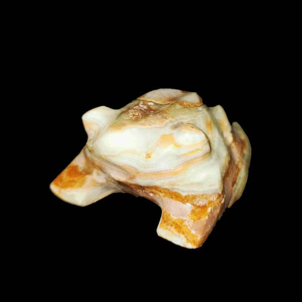 Лягушка оникс асс.