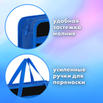 Папка на молнии с ручками BRAUBERG А4 1 отделение пластик 80 мм "Wild face" (3 штуки в упаковке)