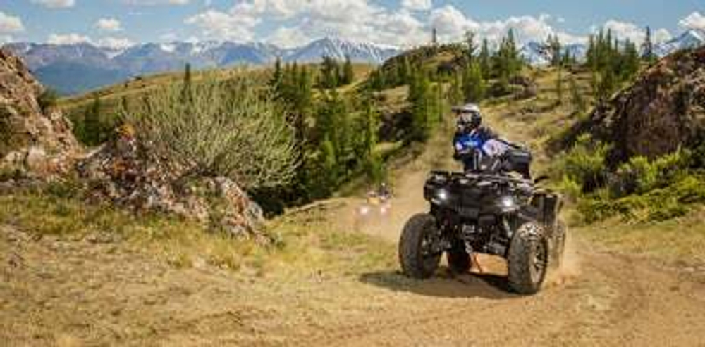 Квадроцикл СТЕЛС ATV 650 Guepard Trophy EPS (ПСМ)