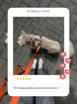 Амортизирующий поводок FATBOY RUFF 120 см Zee.Dog