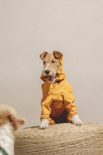 Комбинезон "Пони-комбинезони" горчичный