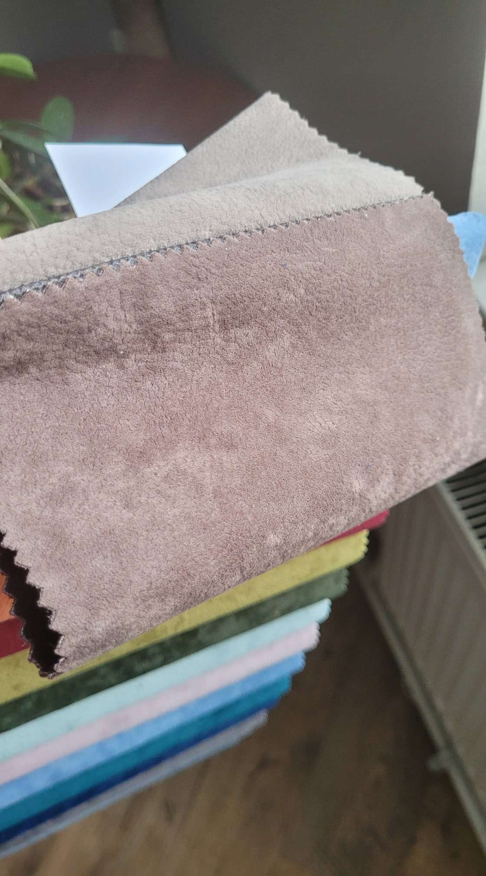 Микровелюр Phlox (Флокс) 24