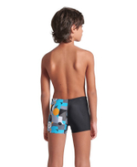 Шорты для плавания ARENA WALLPAPER SWIM SHORT