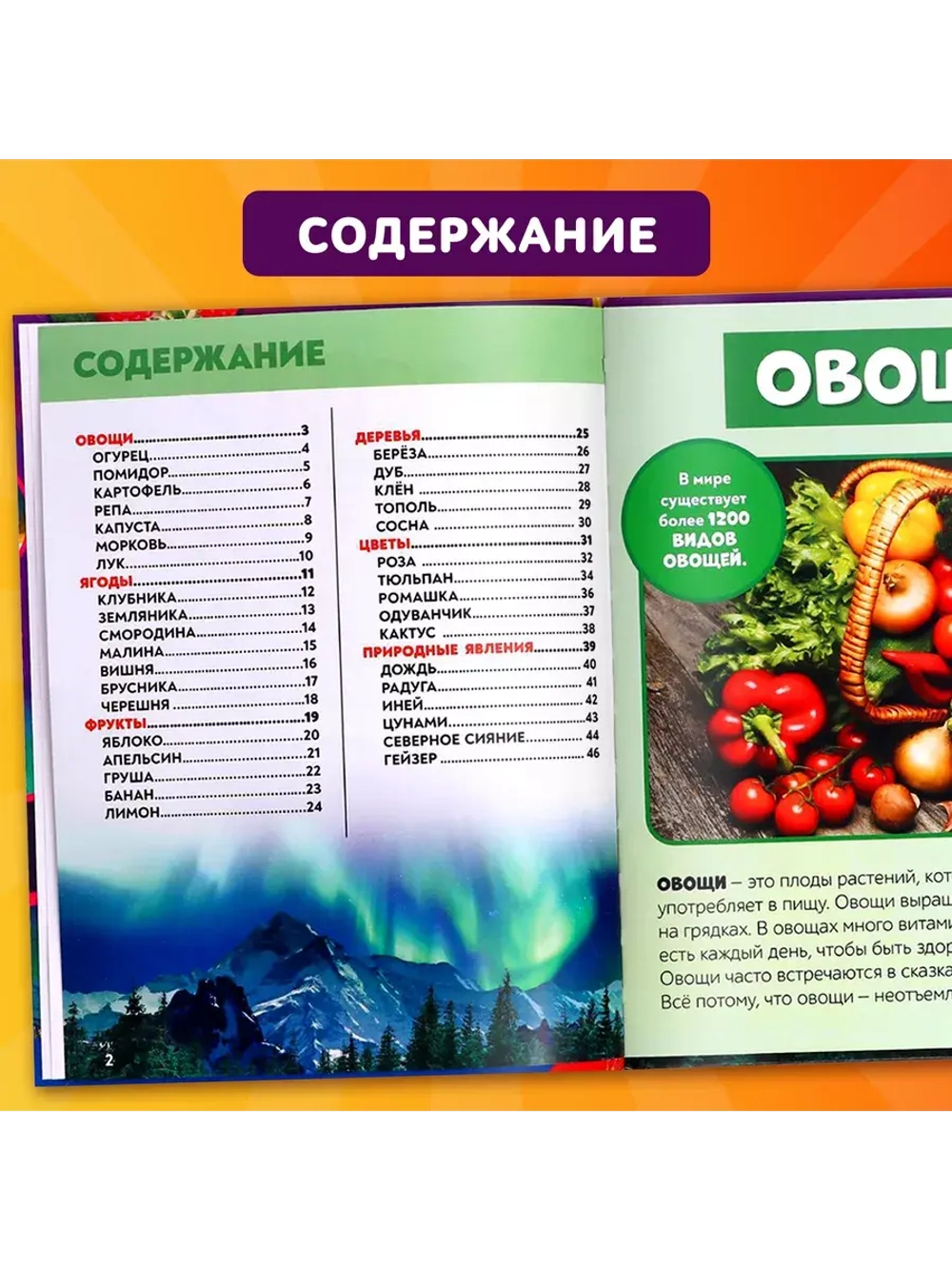 Фотоэнциклопедия для детей Мир вокруг нас
