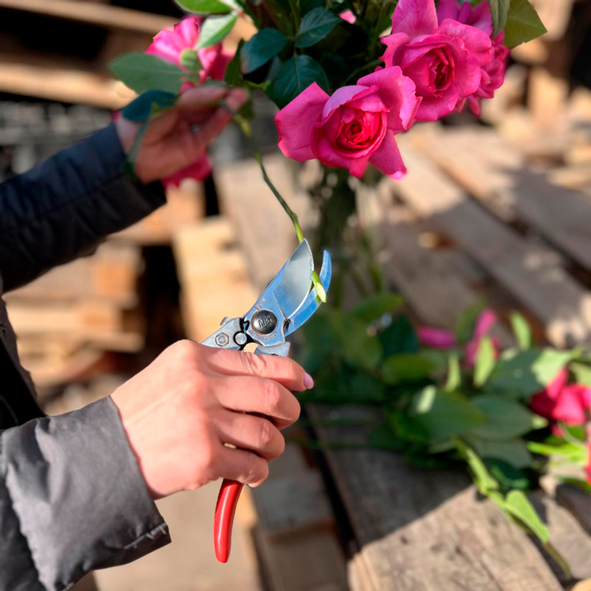 🌸 секатор ARS FB-8 — красный — ARS Corporation — 8 марта у Феи