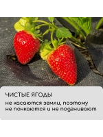 Мульчирующий материал