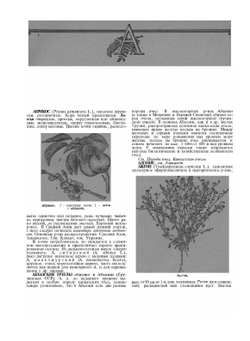 Словарь-справочник пчеловода | Н.Ф. Федосов