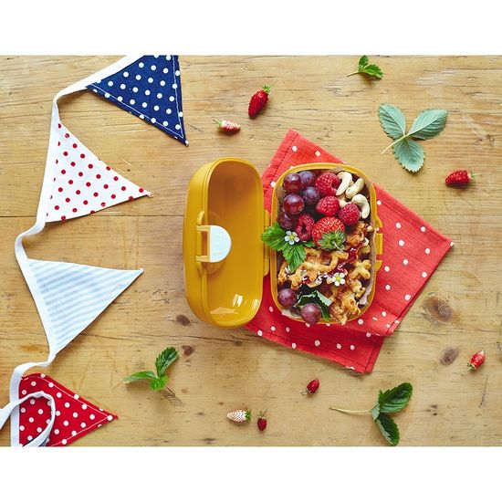 Ланч-бокс MB Gram горчичный