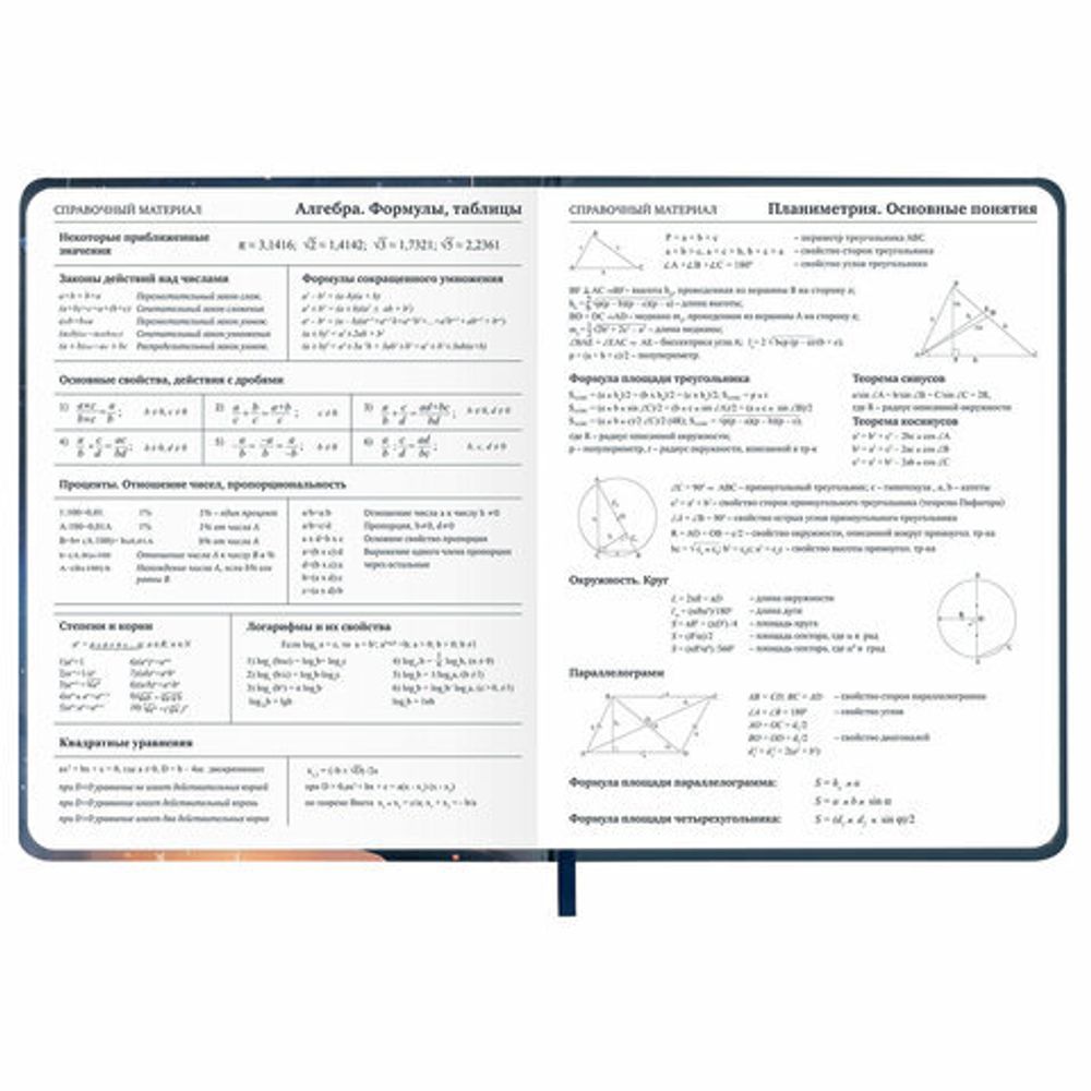 Дневник 1-11 класс 48 л., кожзам (твердая с поролоном), печать, наклейки, BRAUBERG, "Сова", 106947