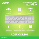 Клавиатура Acer OKR301 белый/серебристый (ZL.KBDEE.015)