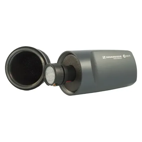 Sennheiser E602-II