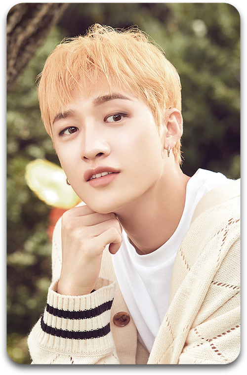 Карта / STRAY KIDS #3019