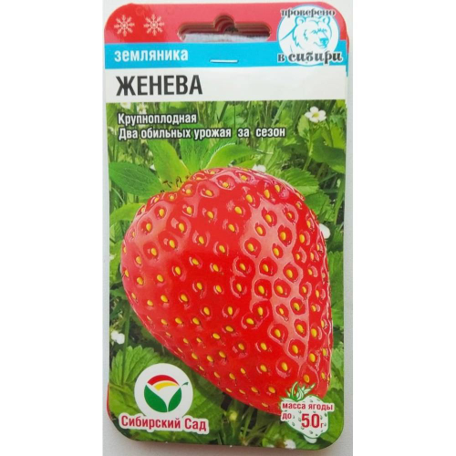 СЕМЕНА КЛУБНИКА ЖЕНЕВА КРУПН ПЛ 2Р В ГОД10 ШТ