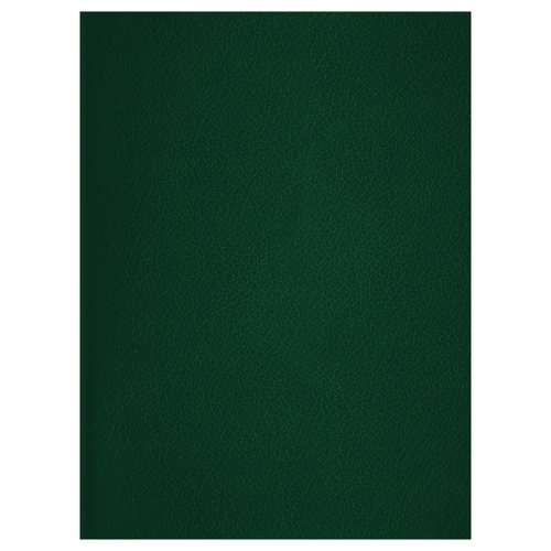 Тетрадь 48л., А4 клетка BG, бумвинил, зеленый