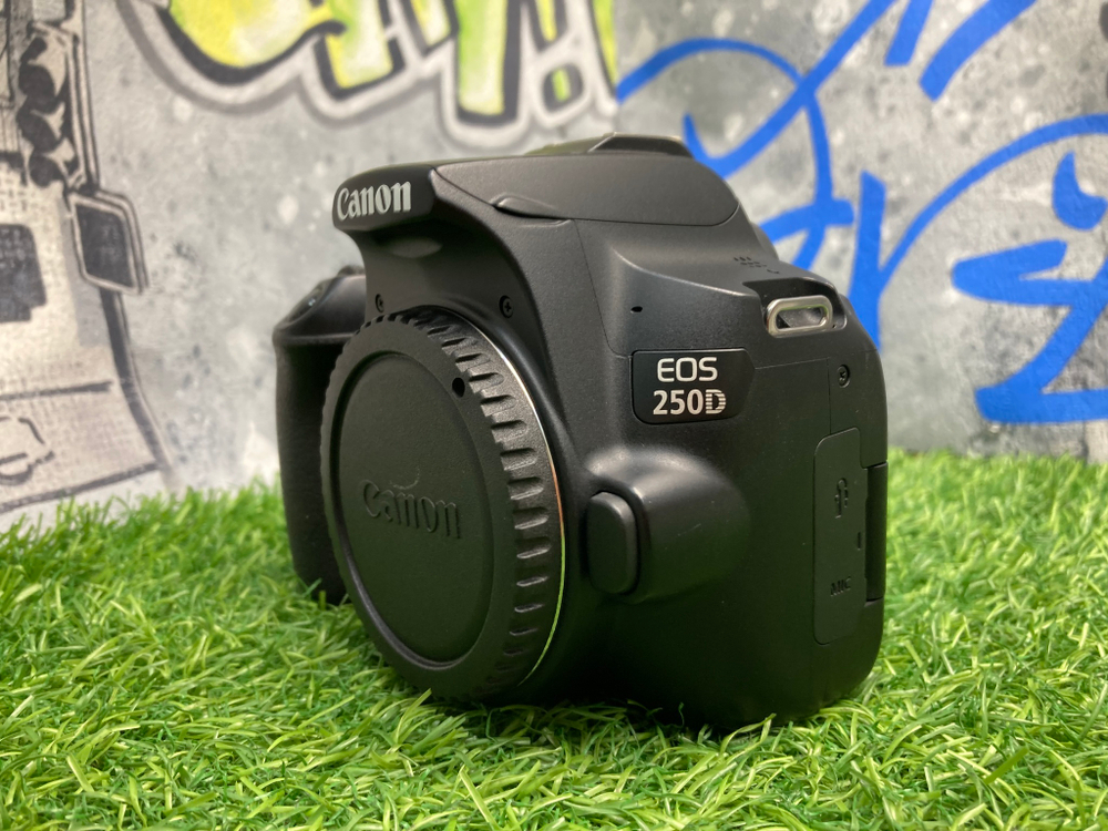 Canon EOS 250D 8.000 кадров