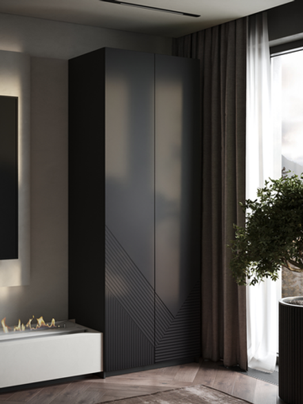 Шкаф Распашной Графит 120х220х50 Слип