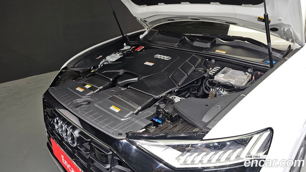 Audi Q8 (4M) 55 TFSI Quattro Premium (08.2021)