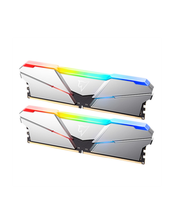 Оперативная память Netac Shadow RGB 32GB (2x16GB) DDR5-5600 (PC5-44800) C40 Silver 40-40-40-77 1.2V XMP Dual DIMM Kit