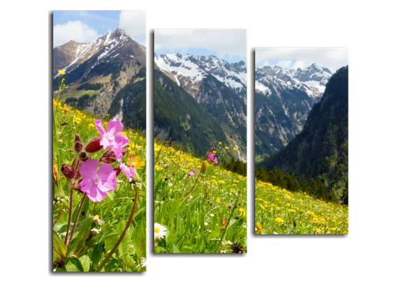 Модульная картина "Austrian Alps"