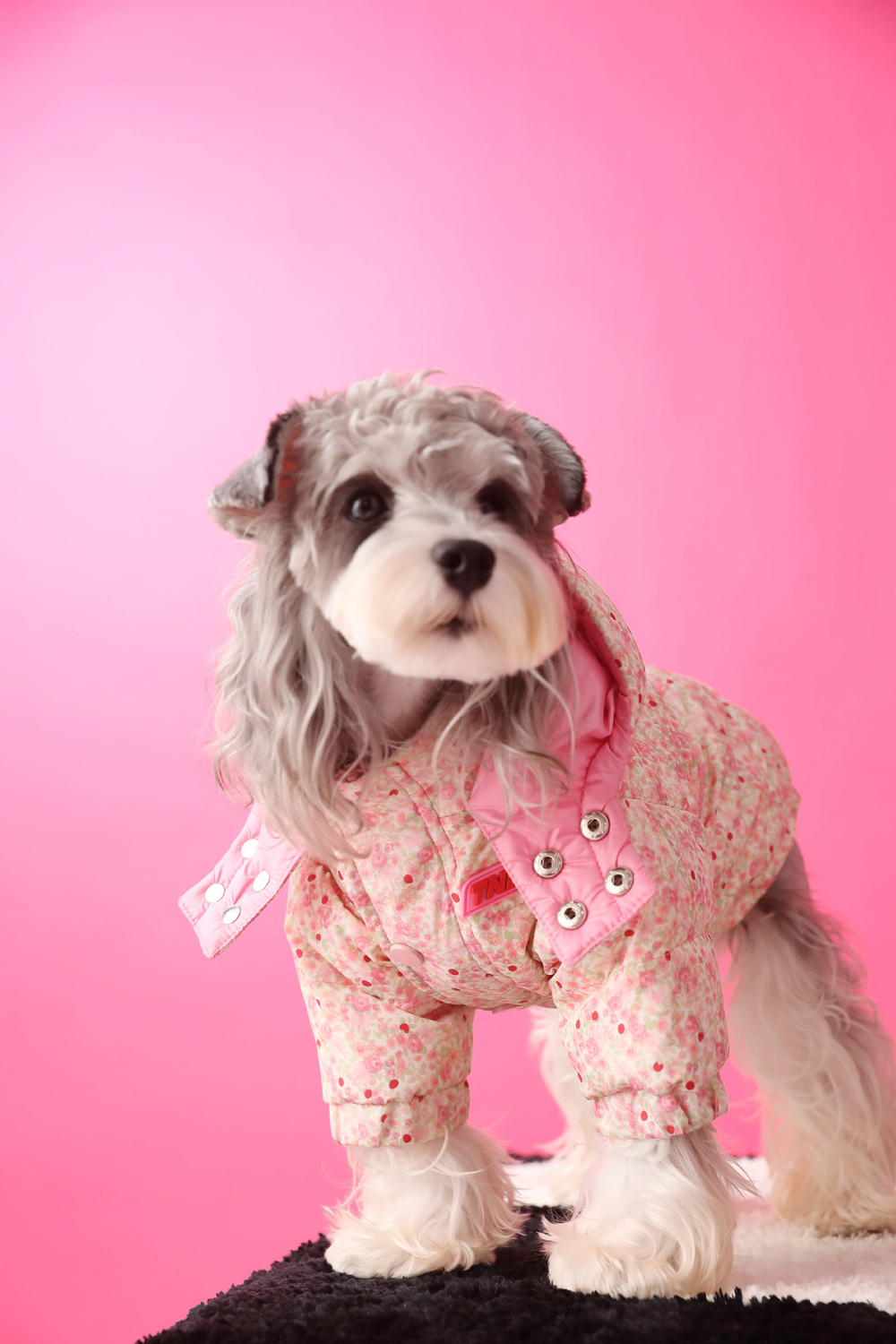 Куртка-пуховик для собак Цветы