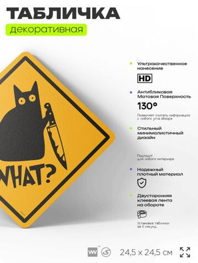 Табличка мем "Кот с ножом" шуточная прикольная табличка на дверь и стену, для офиса и дома, декоративный знак, 24,5х24,5 см, пластиковая, Айдентика Технолоджи