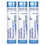 Boiron, Гранулы Hydrastis Meltaway, 3 тюбика, 80 гранул в каждом