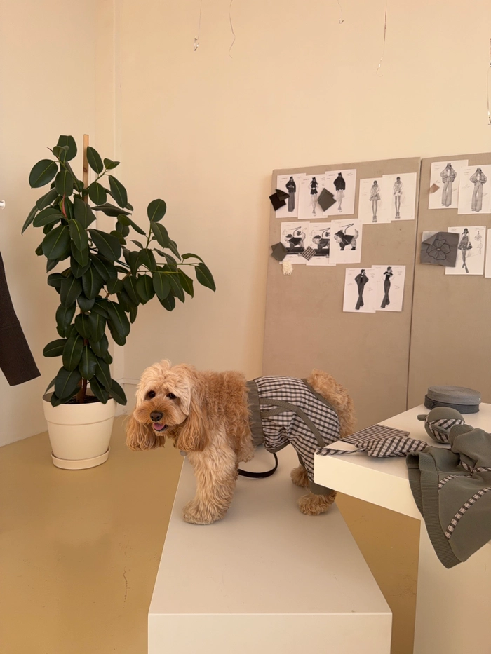 БРЮКИ САВЬЕ ДЛЯ СОБАК ХАКИ