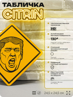 Табличка мем "Дональд Трамп" шуточная прикольная табличка на дверь и стену, для офиса и дома, декоративный знак, 24,5х24,5 см, пластиковая, Айдентика Технолоджи