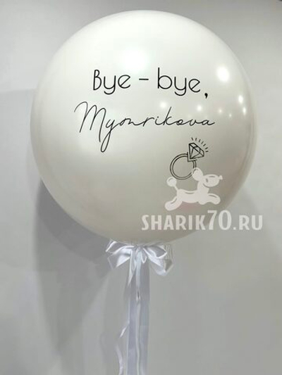 Шарики на девичник 0001