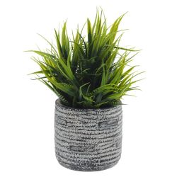 GAEM Цветочная композиция "Трава с папоротником", L12 W12 H17 см