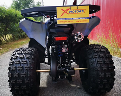 Квадроцикл MOTOLAND (МОТОЛЕНД) 125 COYOTE PRO