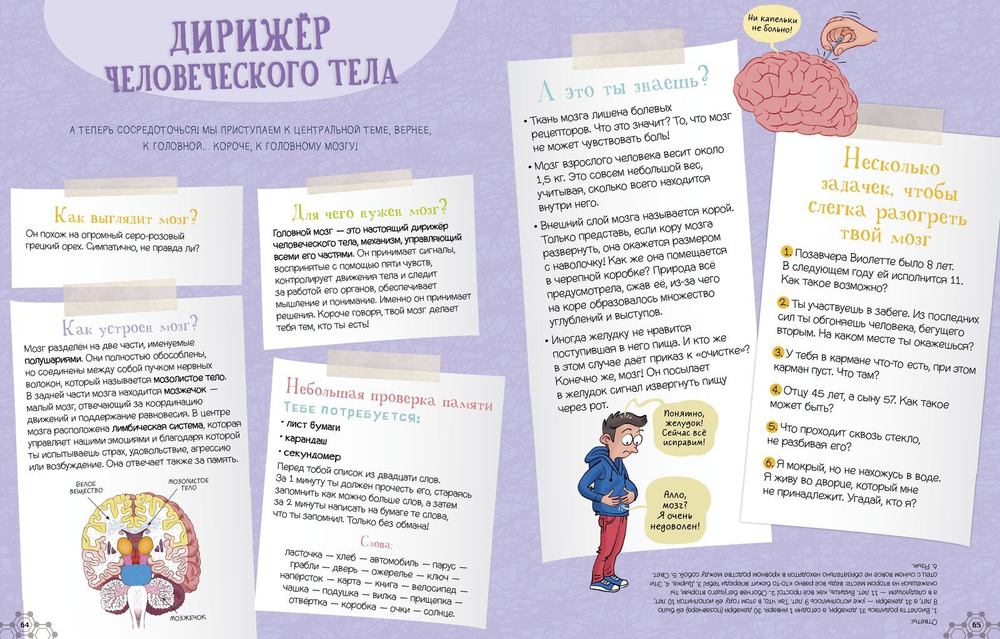 Суперкнига о теле человека