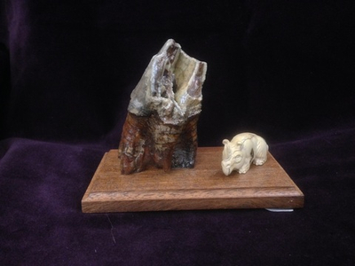 Шерстистый носорог