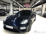 Porsche Panamera (971) 2.9 AWD Platinum Editions (01.2023)