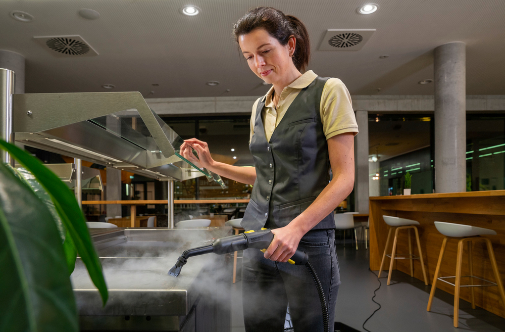 Профессиональный пароочиститель SG 4/2 Classic