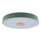 Потолочный светодиодный светильник Loft IT Axel 10003/24 green