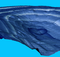 Программа создания карт AutoChart PRO™