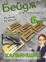 Бейдж на магните  6шт