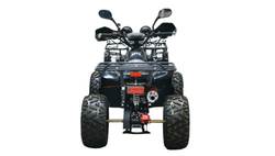 Квадроцикл BISON KIDS 125 LD