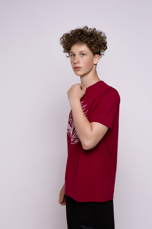 Футболка бордовая классическая с принтом "Jimi Hendrix. The guitarist"