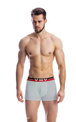 Мужские трусы BB12 Серый
