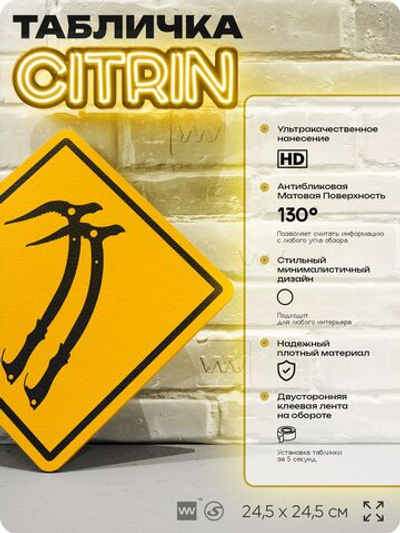 Табличка декоративная "Ледорубы" на дверь и стену, спортивная, информационная, декоративный знак, 24,5х24,5 см, пластиковая, Айдентика Технолоджи