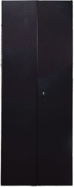 Дверь  TWT TWT-CBB-DR42-6x-S-M1