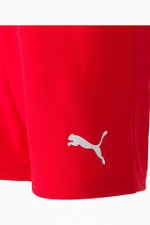 Шорты Puma teamLIGA