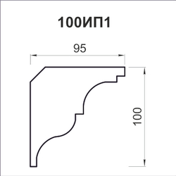 100ИП1