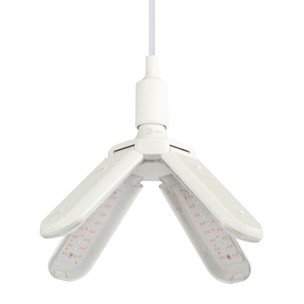 Фитолампа для растений светодиодная ЭРА GREEN LINE ФИТО-40W-PL-E27-GR 4-х лепестковая красно-синего спектра 40 Вт Е27