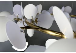 Подвесная люстра Zortes Floret ZRS.01201.18