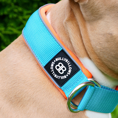 Ошейник Slip-On 5 см BullyBillows